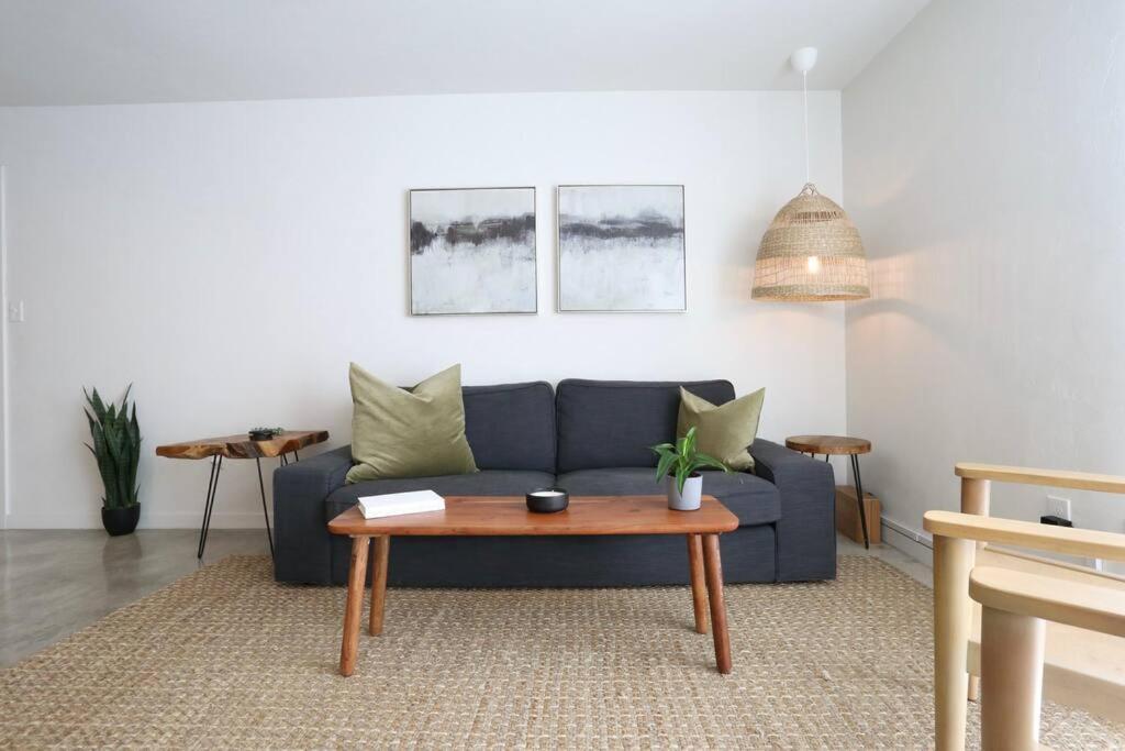 Concrete Suite 5 Min Walk To Shands Uf غينزفيل، فلوريدا المظهر الخارجي الصورة